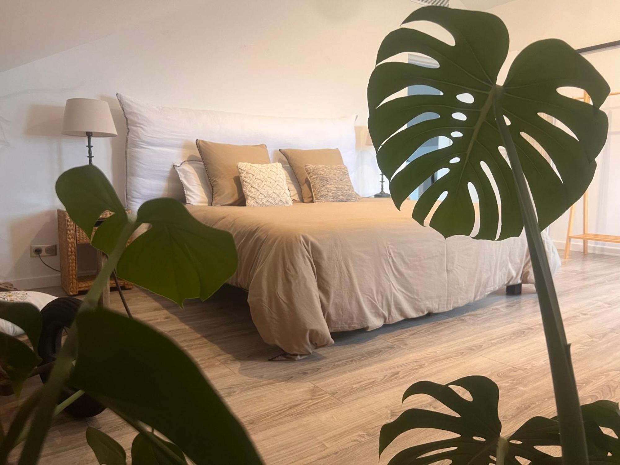 Bed and Breakfast Au Pre De Karine Cuneges Exterior foto