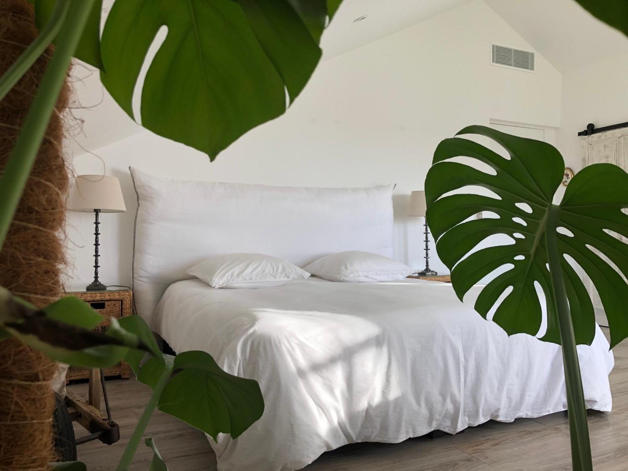 Bed and Breakfast Au Pre De Karine Cuneges Exterior foto